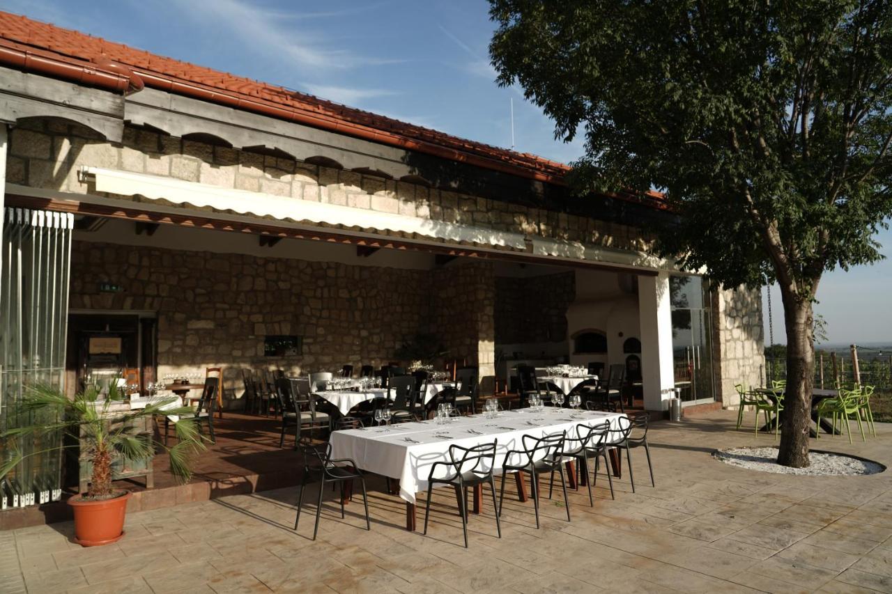 Guest house Crama Apogeum - Adult Only